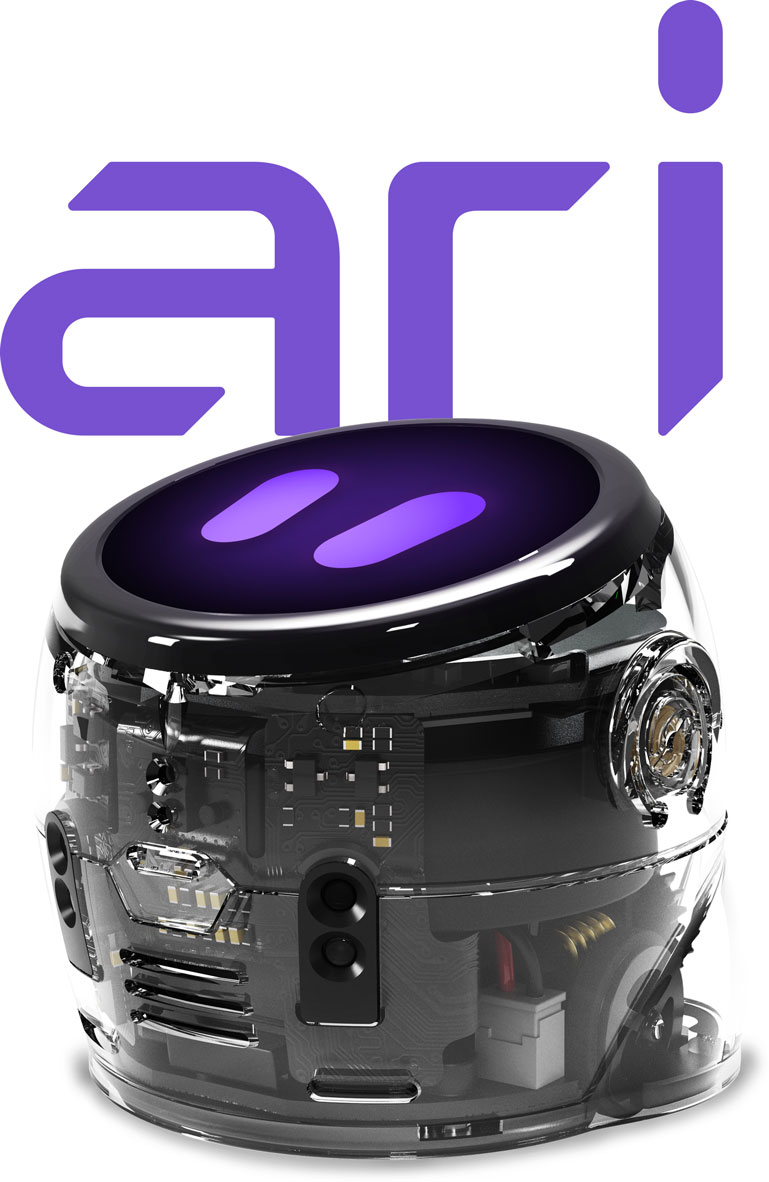 Ozobot ari