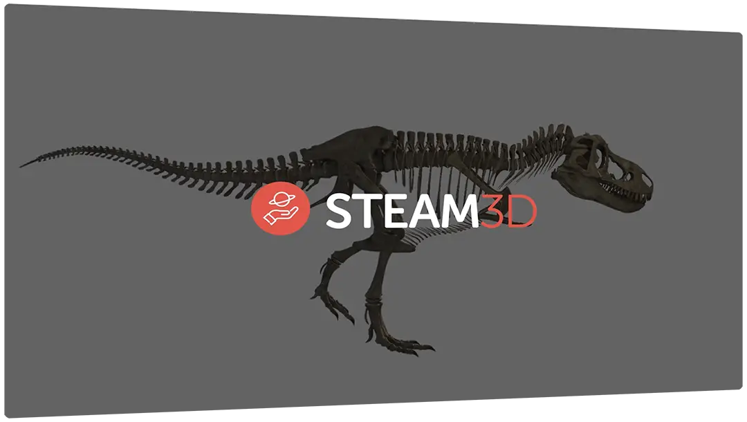 Steam3D
