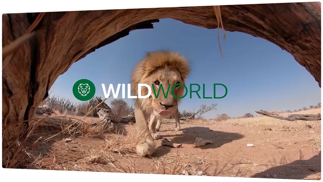 WildWorld